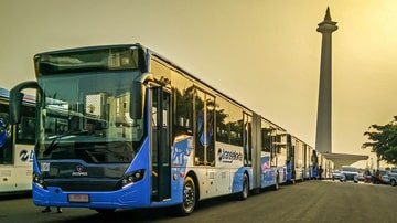Foto Diculik ke Thailand, 2 Orangutan Akhirnya Balik ke Indonesia