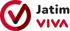 Logo VIVA.co.id